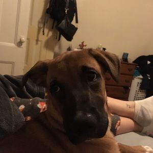 Meet your Posher, Bryan